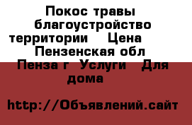 Покос травы, благоустройство территории. › Цена ­ 100 - Пензенская обл., Пенза г. Услуги » Для дома   